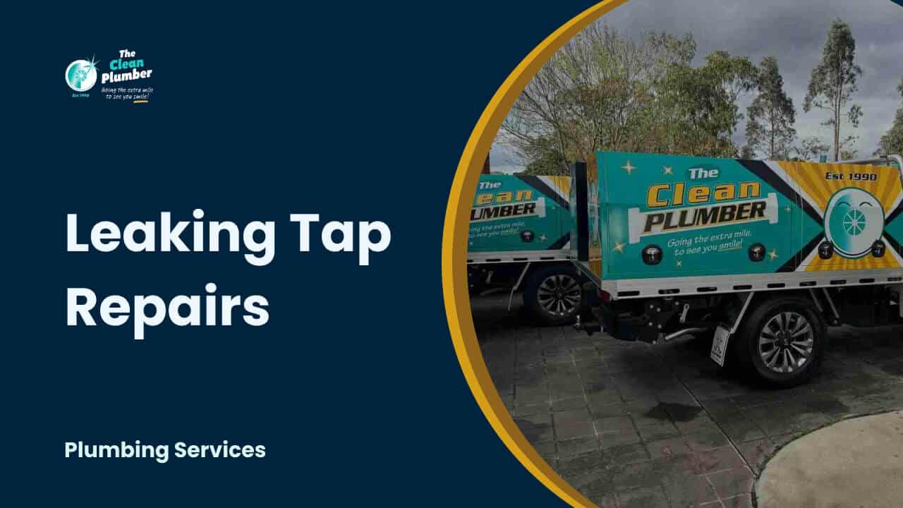Tap & toilet repairs in the Inner West